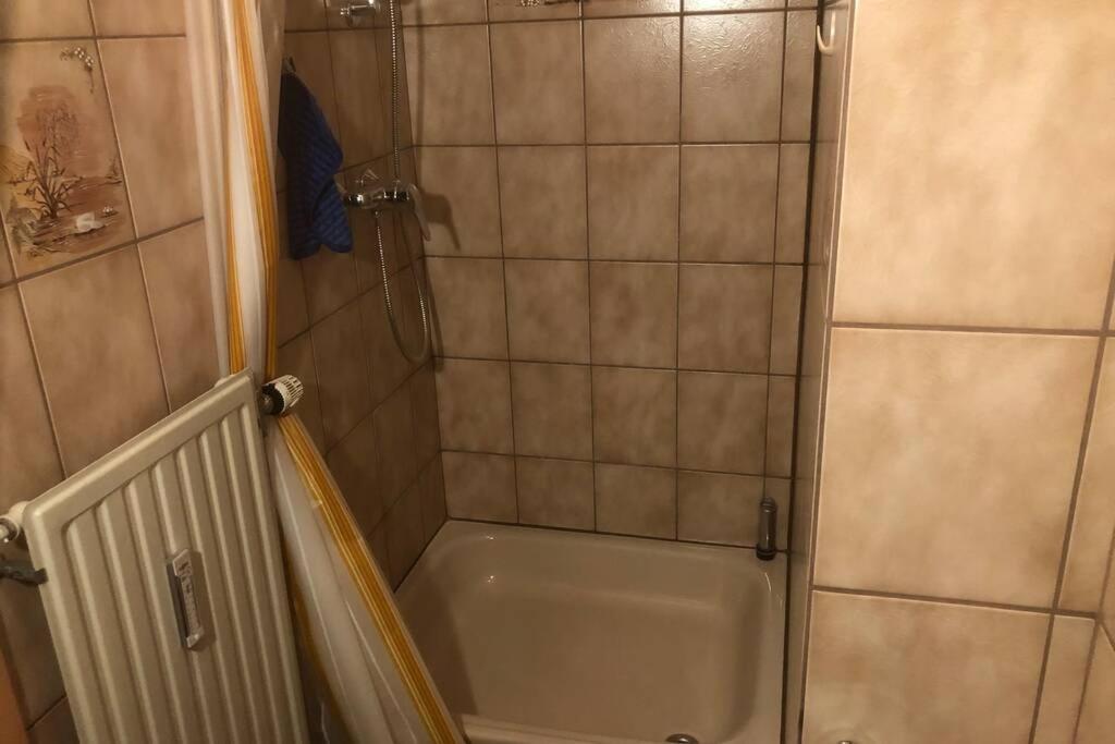 Beste Lage Im Zentrum Und Am Hofgarten 150Qm Mit Klima, 2Xbalkon, Aufzug, Familienfreundlich Bayreuth Ngoại thất bức ảnh