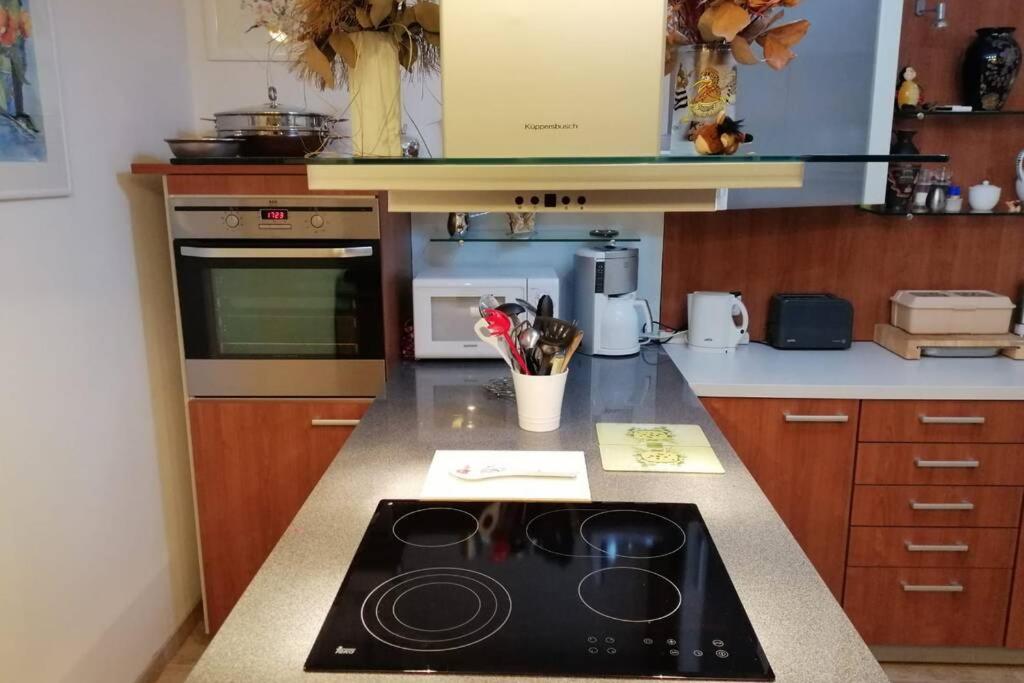 Beste Lage Im Zentrum Und Am Hofgarten 150Qm Mit Klima, 2Xbalkon, Aufzug, Familienfreundlich Bayreuth Ngoại thất bức ảnh